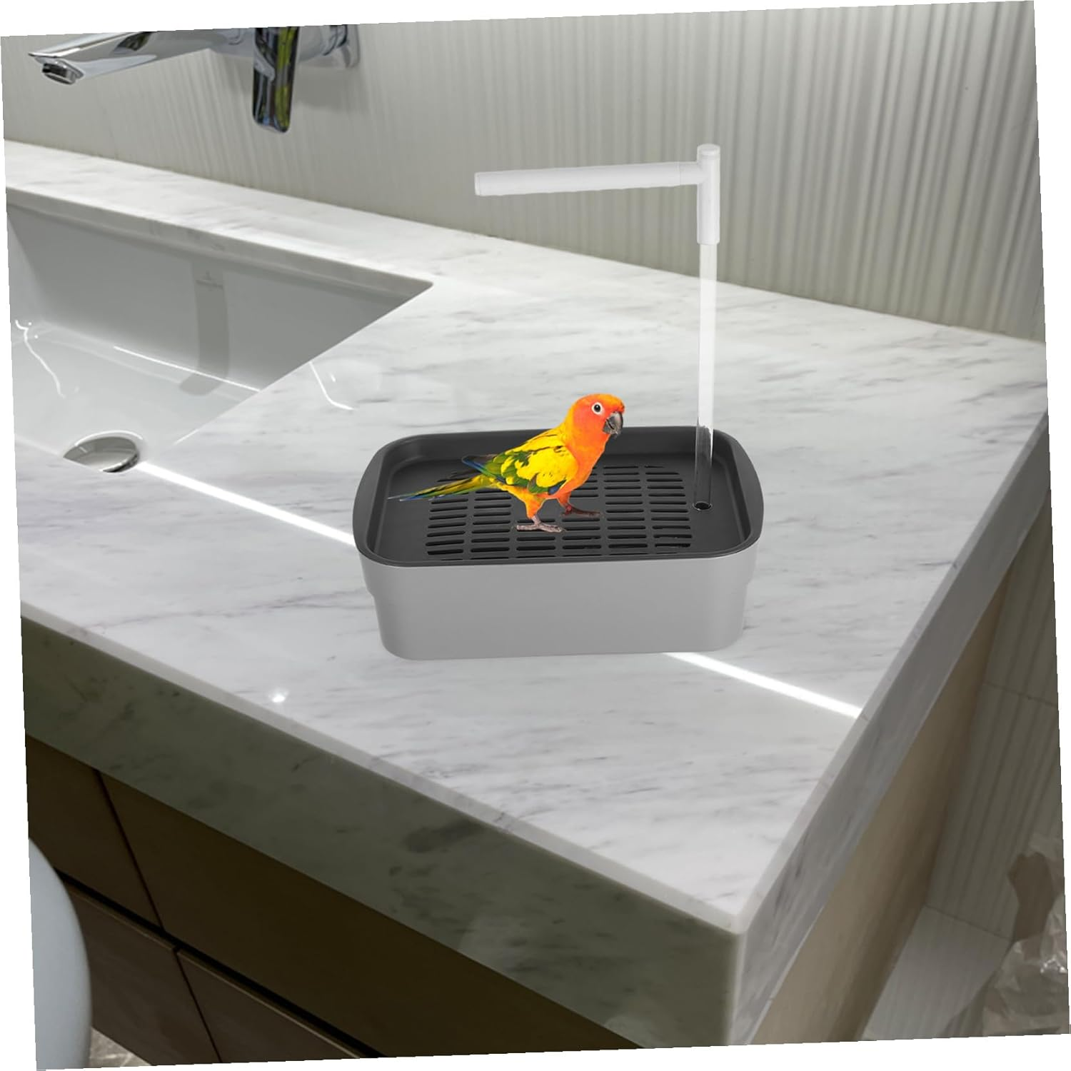 TEHAUX Parrot Bathtub Automatic Bird Bath with Water Circulating Shower Small Bird Shower Tub for Parakeet Bathing in Cage and Cockatiels image number 2