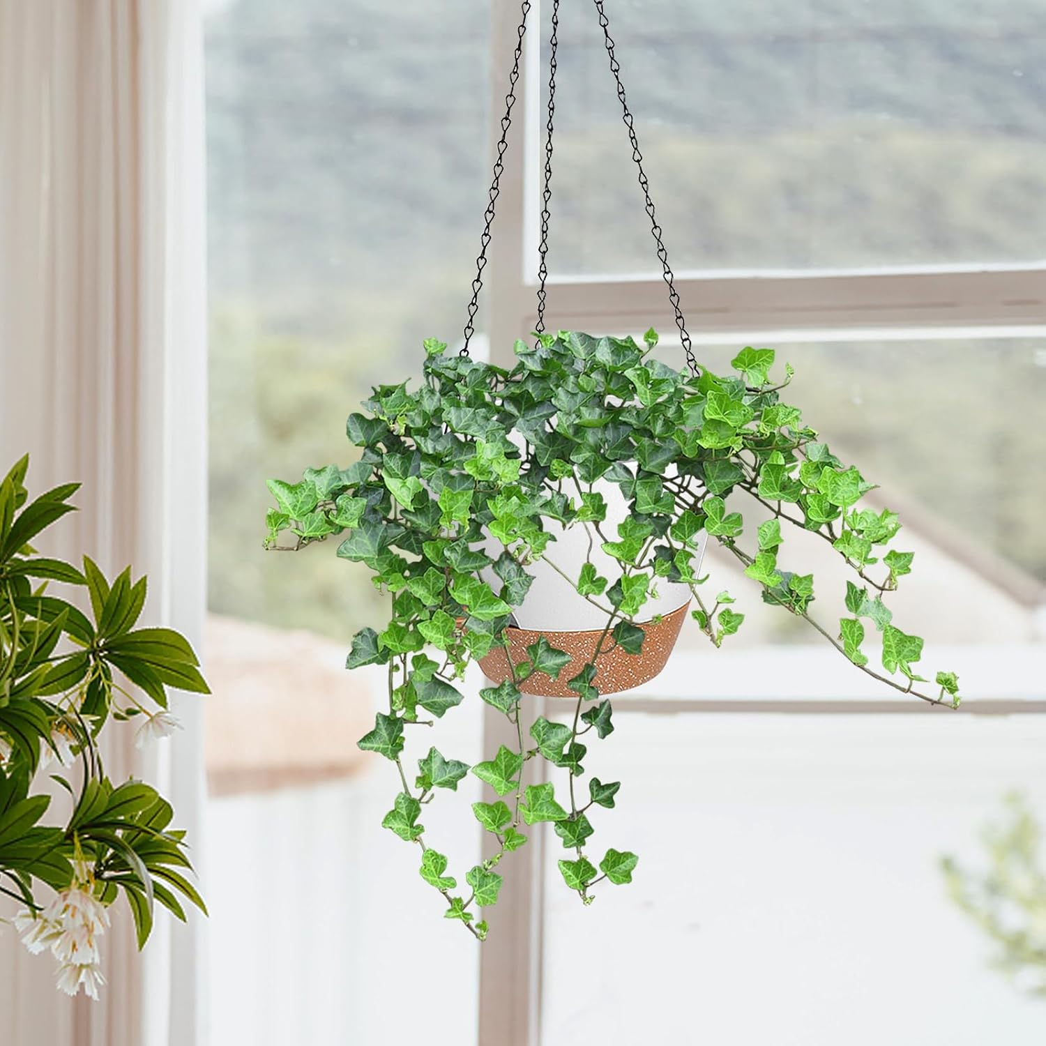 10/9/8 Inch Hanging Planter for Indoor Outdoor Plants, 3 Pack Self-Watering Hanging Pot with Drainage Holes Hanging Planter Baskets Plant Pots with Removable Tray (White+Brown) image number 6