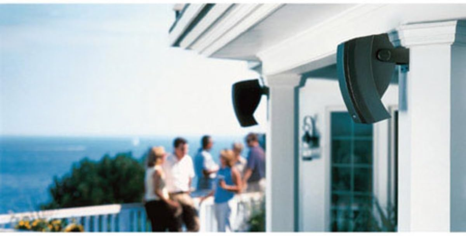 Bose 251 Environmental Outdoor Speakers - Black image number 1