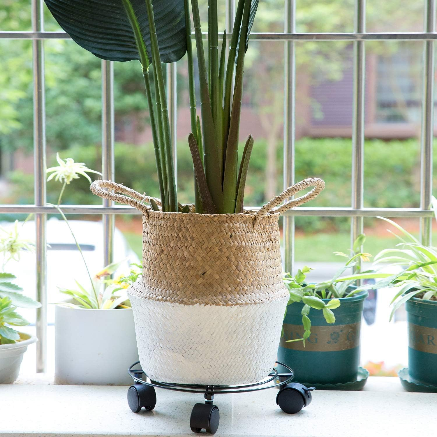 Iron Wire Rolling Plant Stand with Locking Wheels &ndash; Heavy-Duty Metal Flower Pot Dolly, Rustproof and Ideal for Indoor & Outdoor Use, 4 Pack image number 1