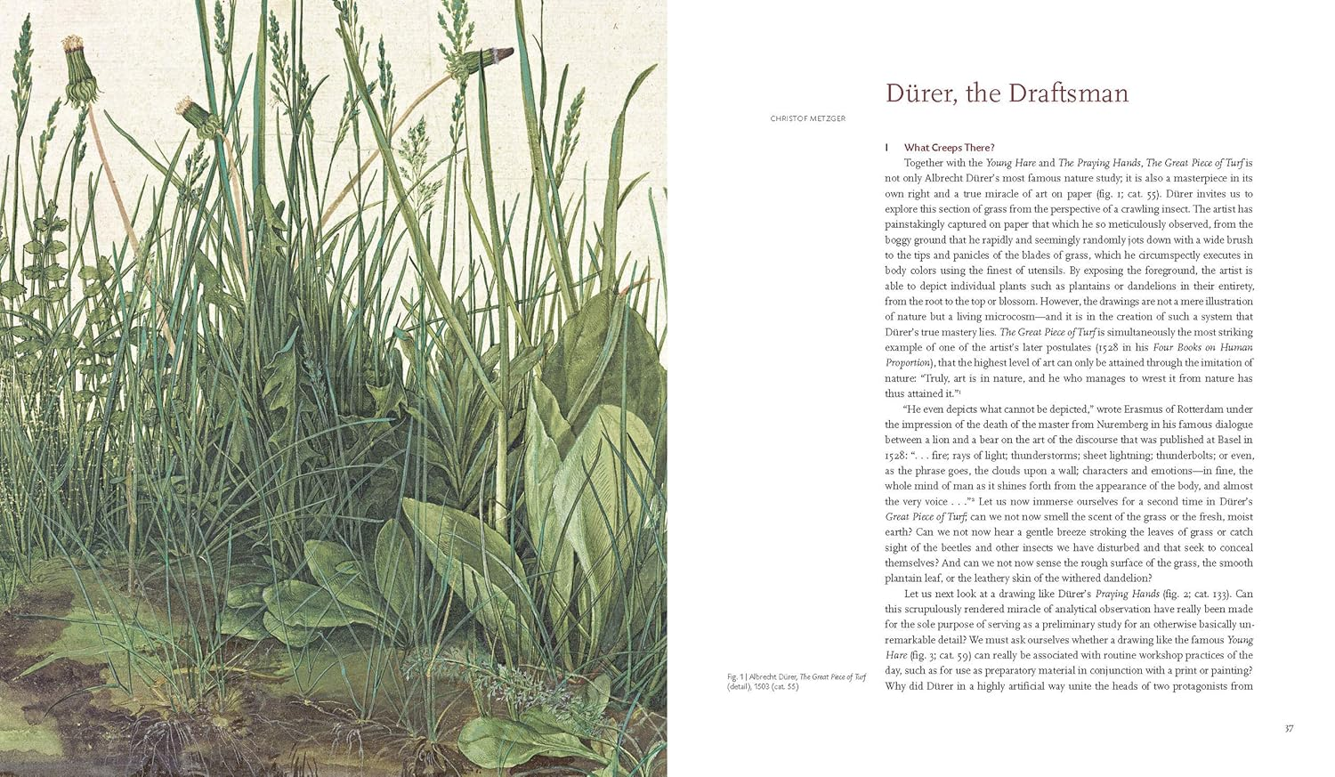 Albrecht Durer image number 5