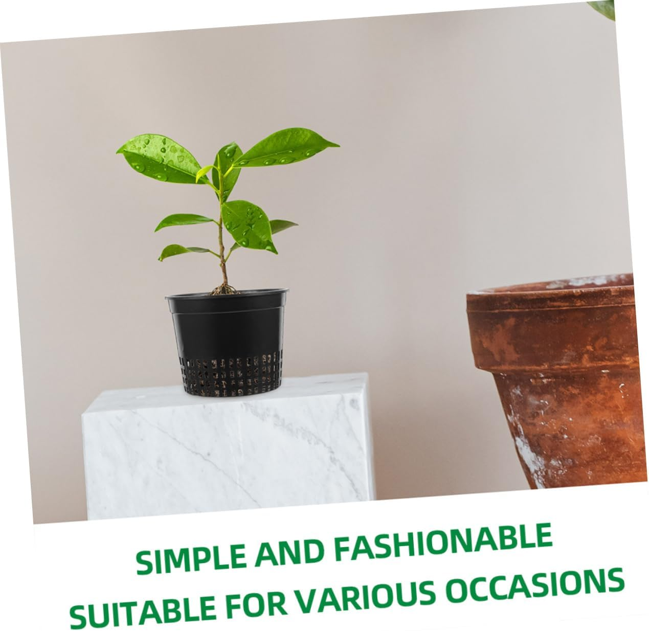 VINTORKY 12Pcs Decorative Planting Cups Garden Pots Plastic Net Pots Hydroponic Supplies Plant Baskets