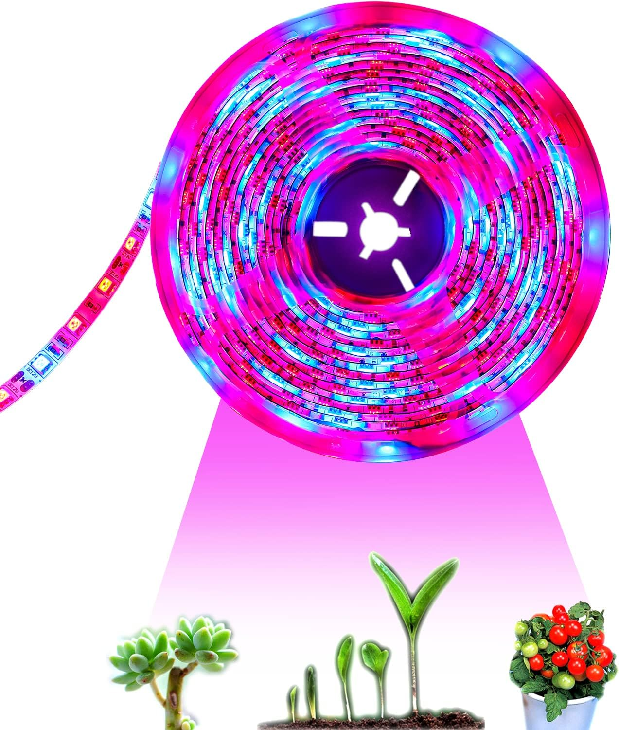 Tesfish LED Plant Grow Strip Light DC 12V IP65 Waterproof Full Spectrum SMD 5050 Red Blue 3:1 Rope Lights for Aquarium Greenhouse