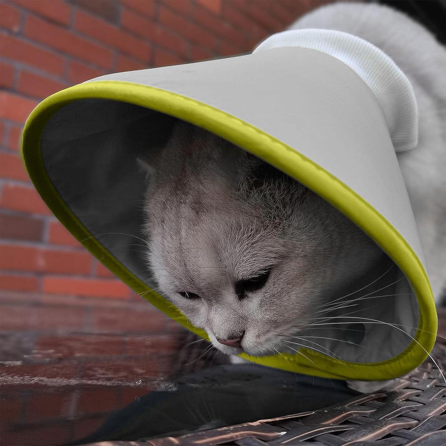 Soft Pet Collar Cone | Cat Recovery Collar Soft Cone Collars for Cat,Neck Cone after Surgerys, Elizabethan Collars Fit for Kitties, Small Dogs Buniq image number 4