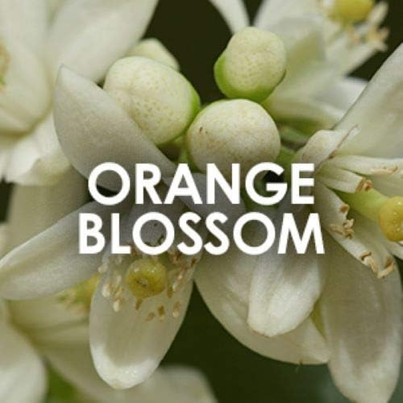 VIP Private Show by Britney Spears Eau De Parfum Spray 30Ml image number 6