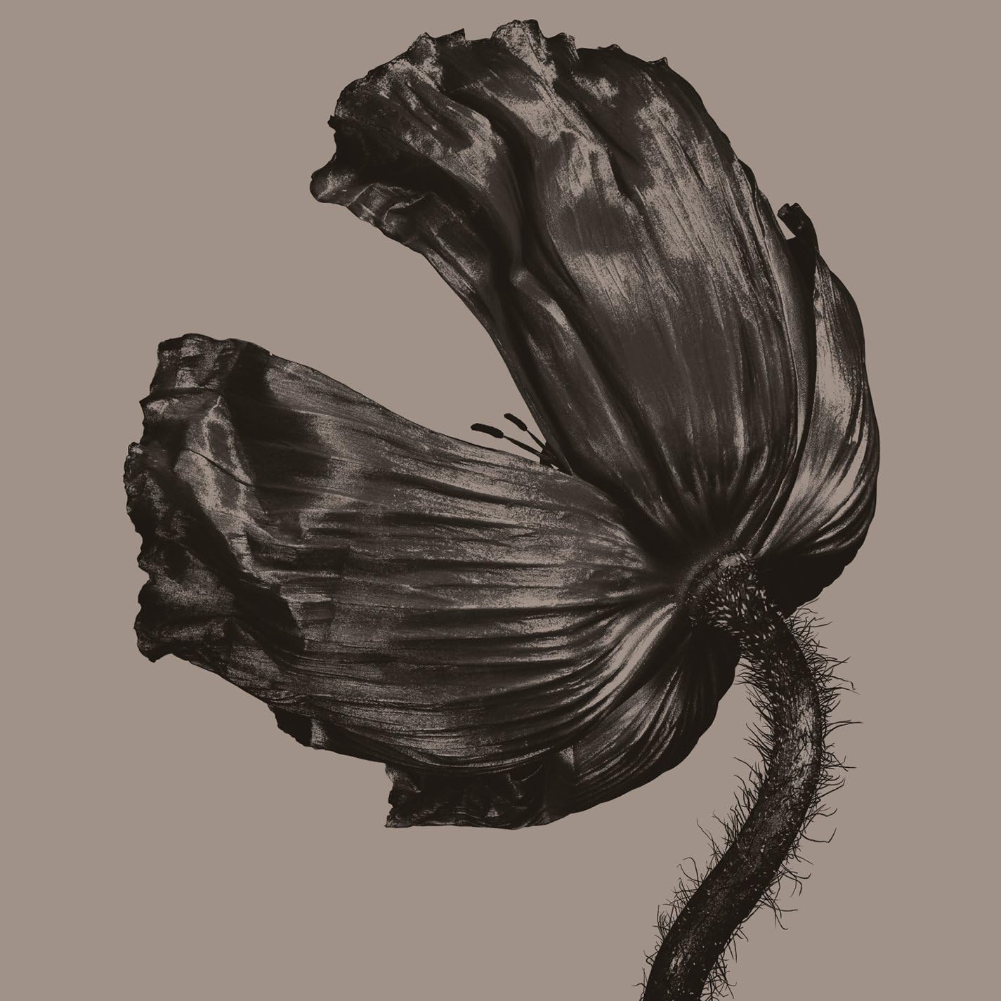 RELEASE: FURTHER LISTENING 200 (2017 Rei