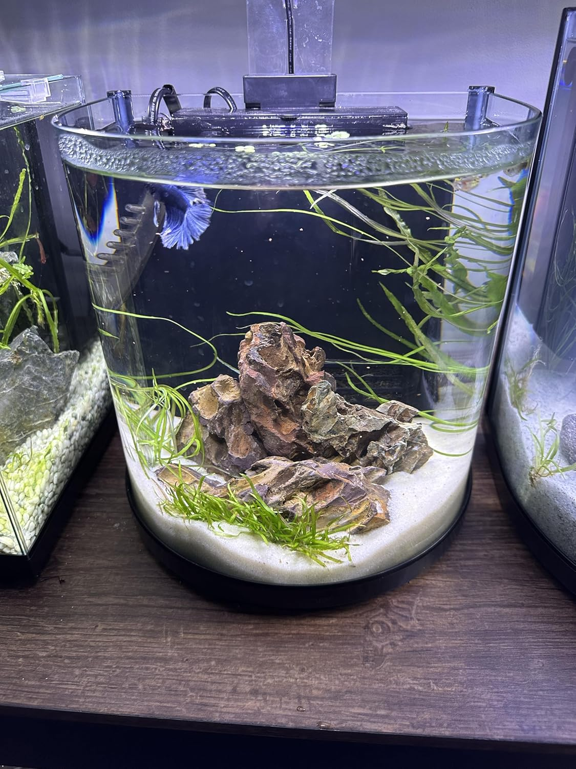 Aqua Natural Sugar White Sand, Sugar White image number 4