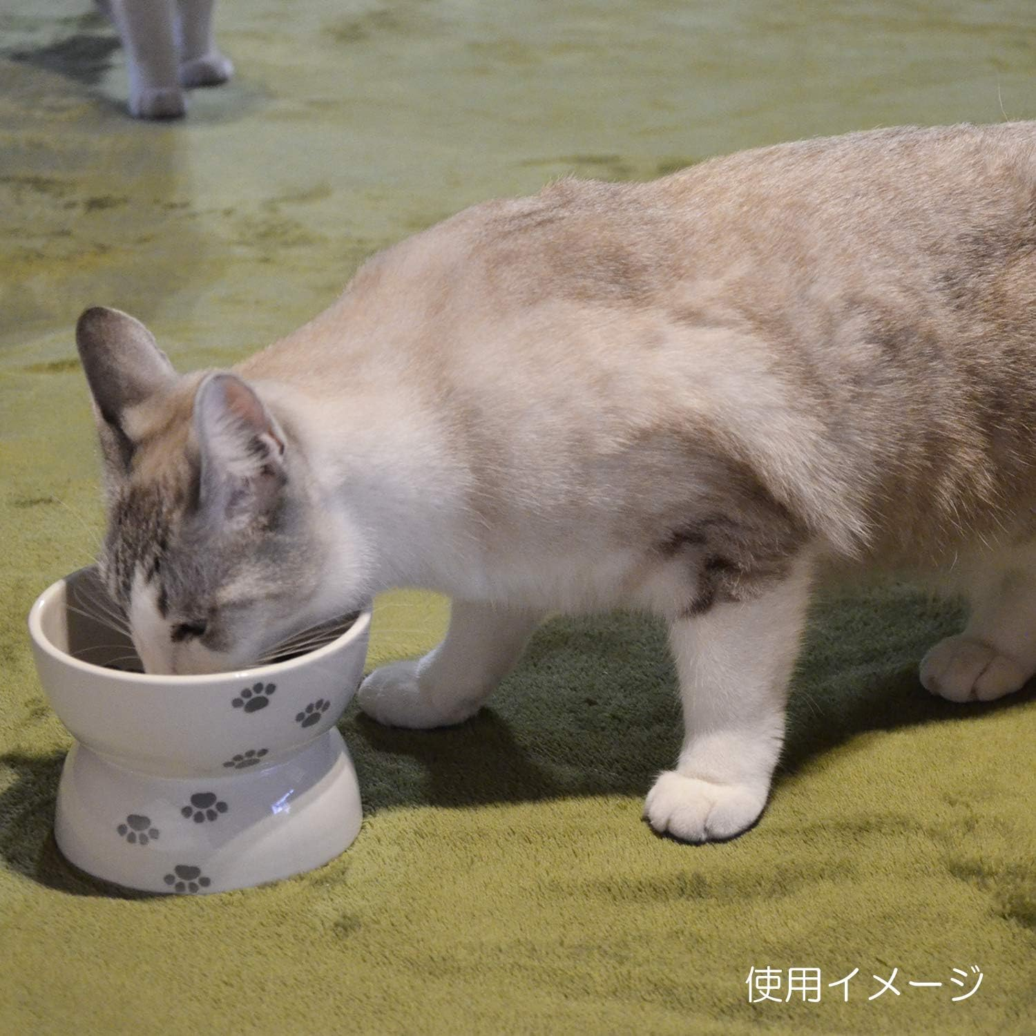 Toyo Ceramics Medium Bowl, Beige, 11.8 Fl Oz (350 Ml), Arita Ware for Pets, Tableware, Easy to Clean, Porcelain Dish, for Dogs and Cats, Foot Pattern