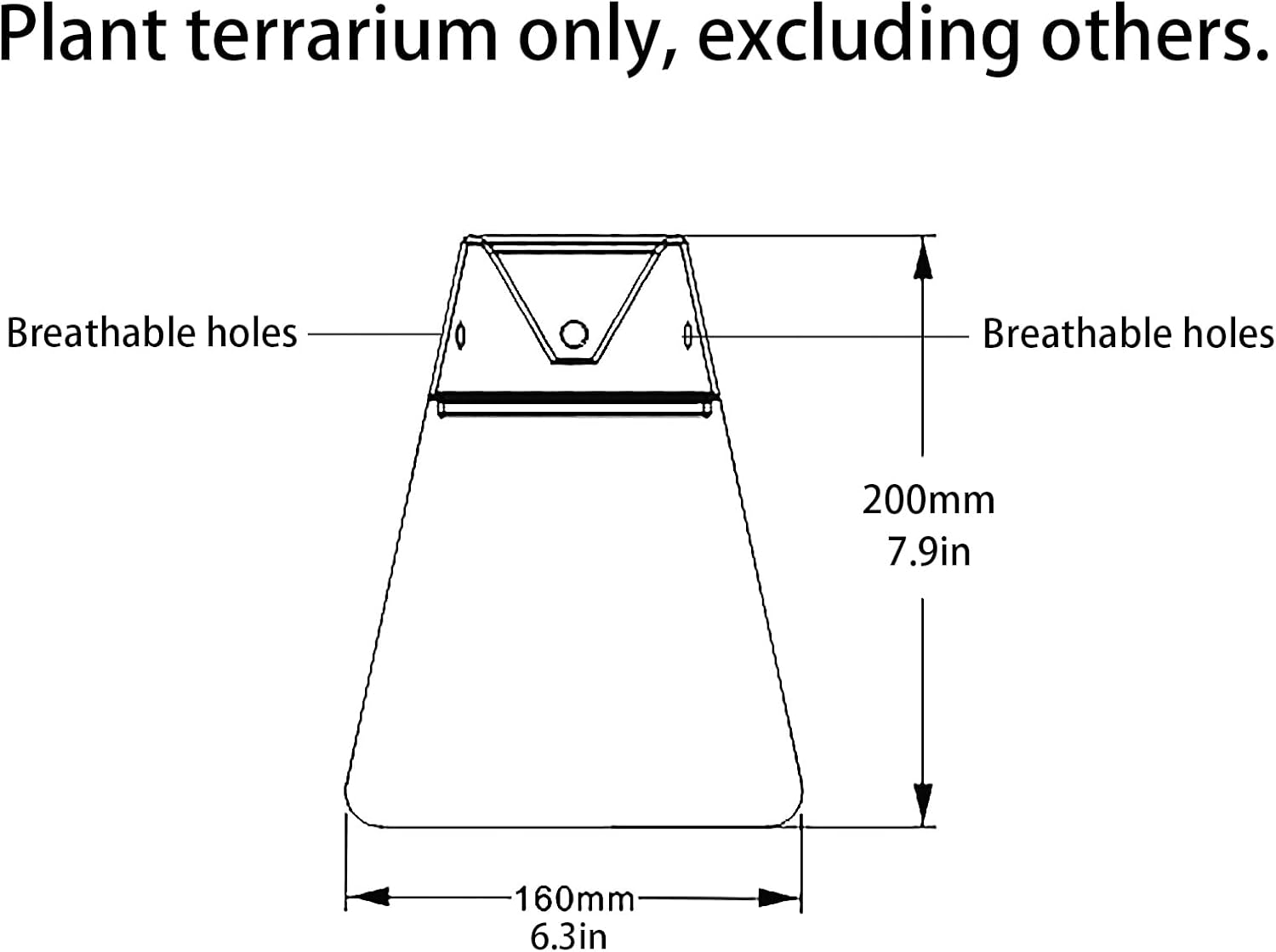 Glass Plant Terrarium with Lid 6.3"X7.9" Inches Succulent Air Planter Fern Moss Micro-Landscape Vase for Home Office Tabletop Decoration Container Indoor Wardian Copyright Patent image number 6