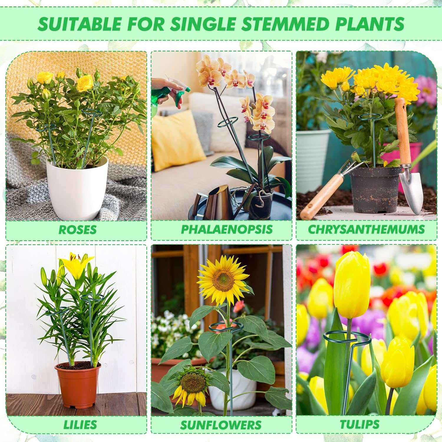 24 Pack Plant Support Stakes for Three Sizes(12 or 24 or 36 Inch) Metal Plant Support Sticks Support Stake Plant Stem for Flowers Amaryllis Tomato Lily Peony Rose Flower Narcissus(36 Inch) image number 1