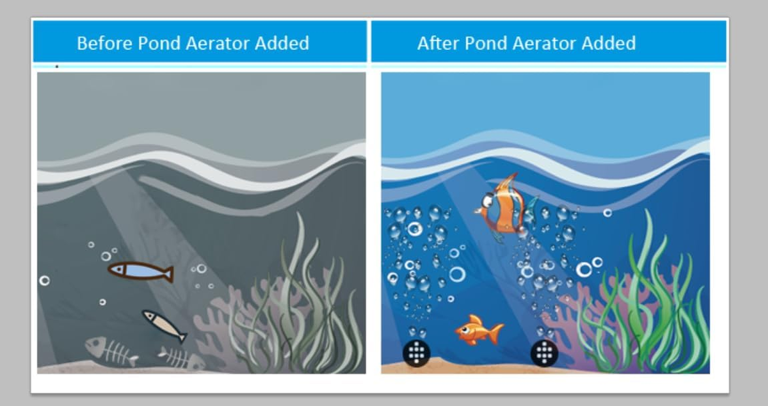 Lewisia 8W Solar Air Pump Kit with Air Hose and Bubble Stones 3 Working Modes Pond Aerator Bubble Oxygenator image number 4