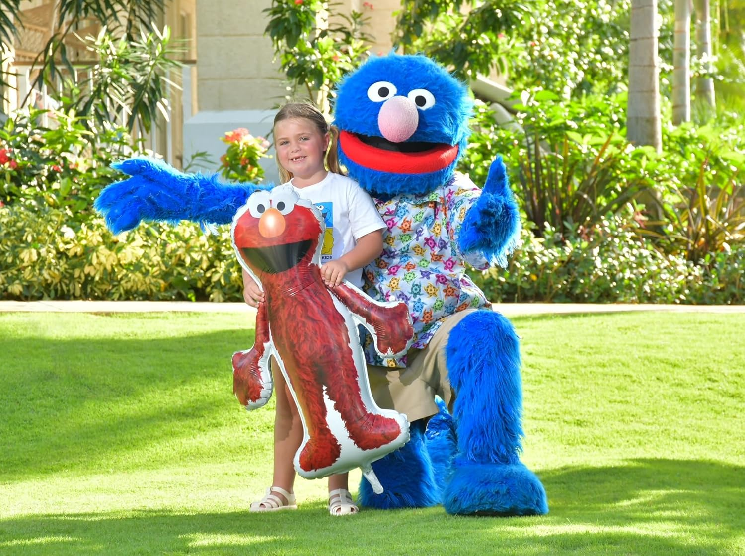 Toyland&reg; Sesame Street Foil Balloon 3 Pack - 1 X 39" Big Bird, 1 X 37" Elmo & 1 X 35" Cookie Monster Characters - Kids Party Decorations