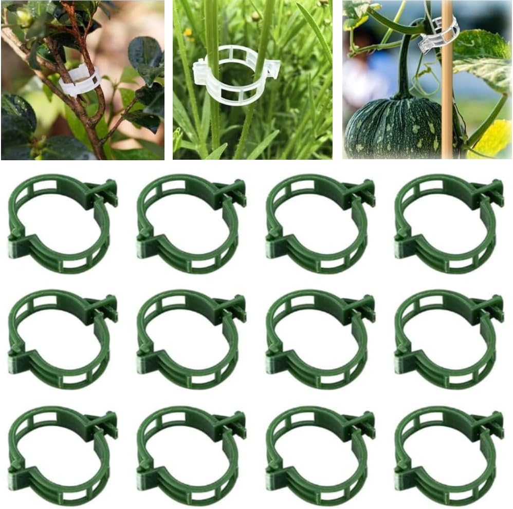 Secured Plastic Plant Clip, Plant Support Clips Reusable Garden Clips, Plastic Trellis Clips Plant Support Clips Tomato Grape Vine Vegetables Plant Fixing Clips (Green - 100Pcs)
