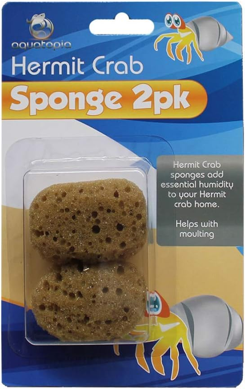 Aquatopia Hermit Crab Sponge,