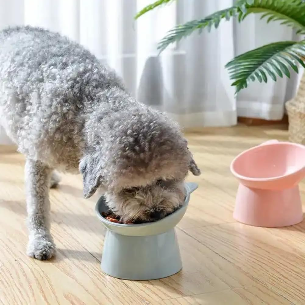 1Pc Tilted Elevated Cat Food Bowl,Anti Vomiting Cute Shallow Cat Bowl,Small Ceramic Raised Pet Bowl,Tilted Raised Food Bowl Anti-Vomiting image number 2