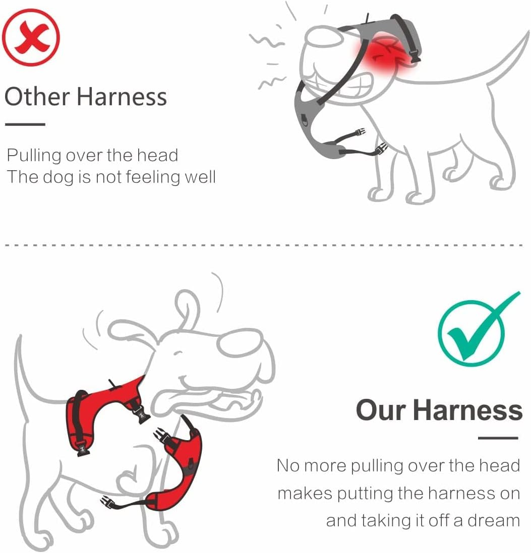 Poypet No Pull Dog Harness, No Choke Reflective Oxford Outdoor Vest, Adjustable Pet Harnesses with 2 Leash Clips, Easy Control Padded Handle for Small Medium Large Dogs (Black,S) image number 5