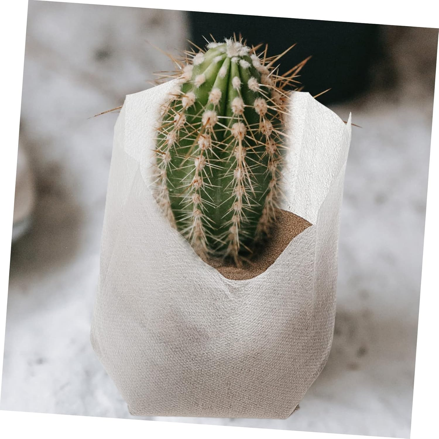 Kisangel 500Pcs Non-Woven Plant Nursery Bags for Gardening Thick Seedling Pots for Vegetables Flowers and Trees Suitable for Indoor and Outdoor Planting image number 2