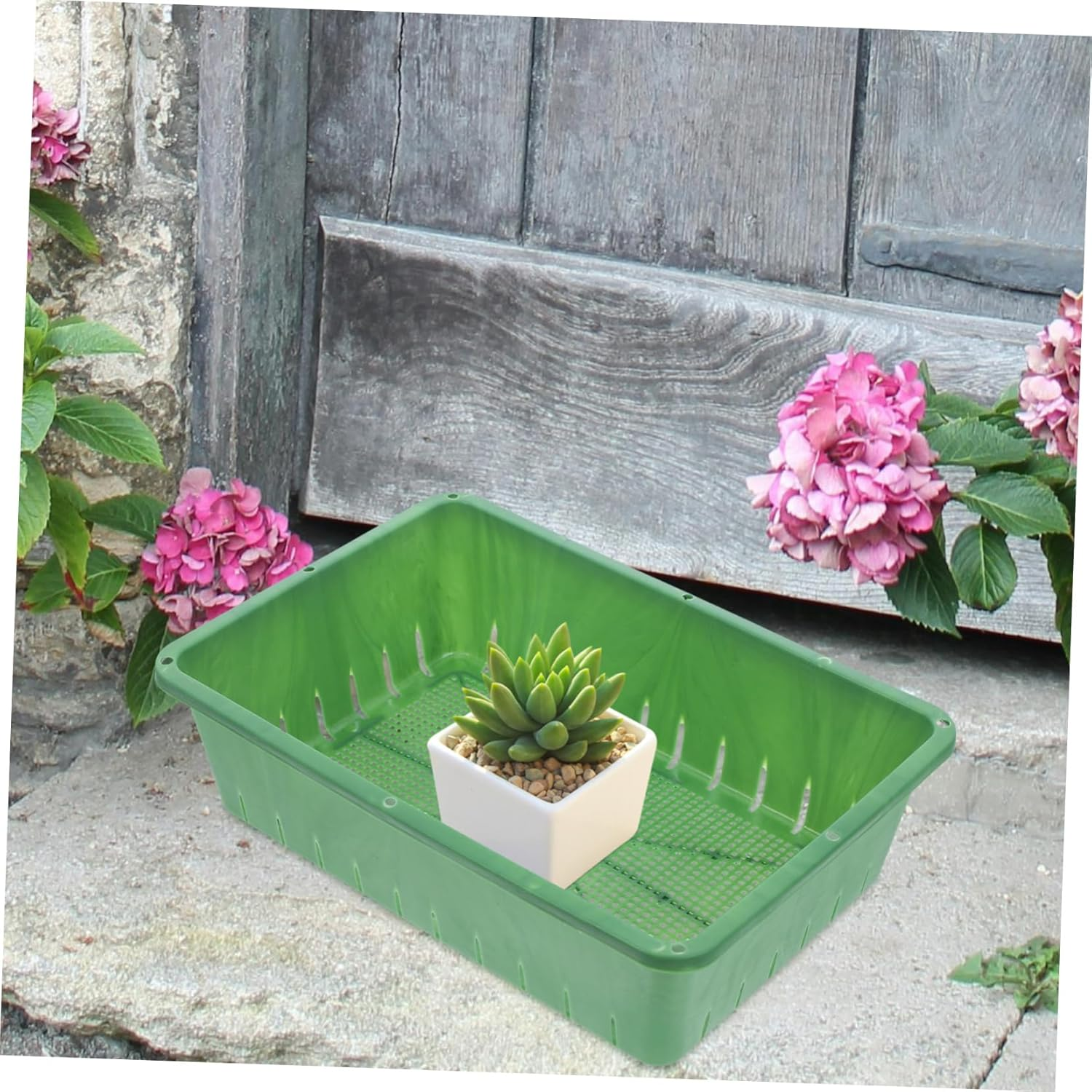 KONTONTY 2 Pcs Sprouting Trays for Seedling and Indoor Gardening Breathable Plastic Seedling Starter Trays Small Size 26X18X7Cm Green Plant for Healthy Root Development