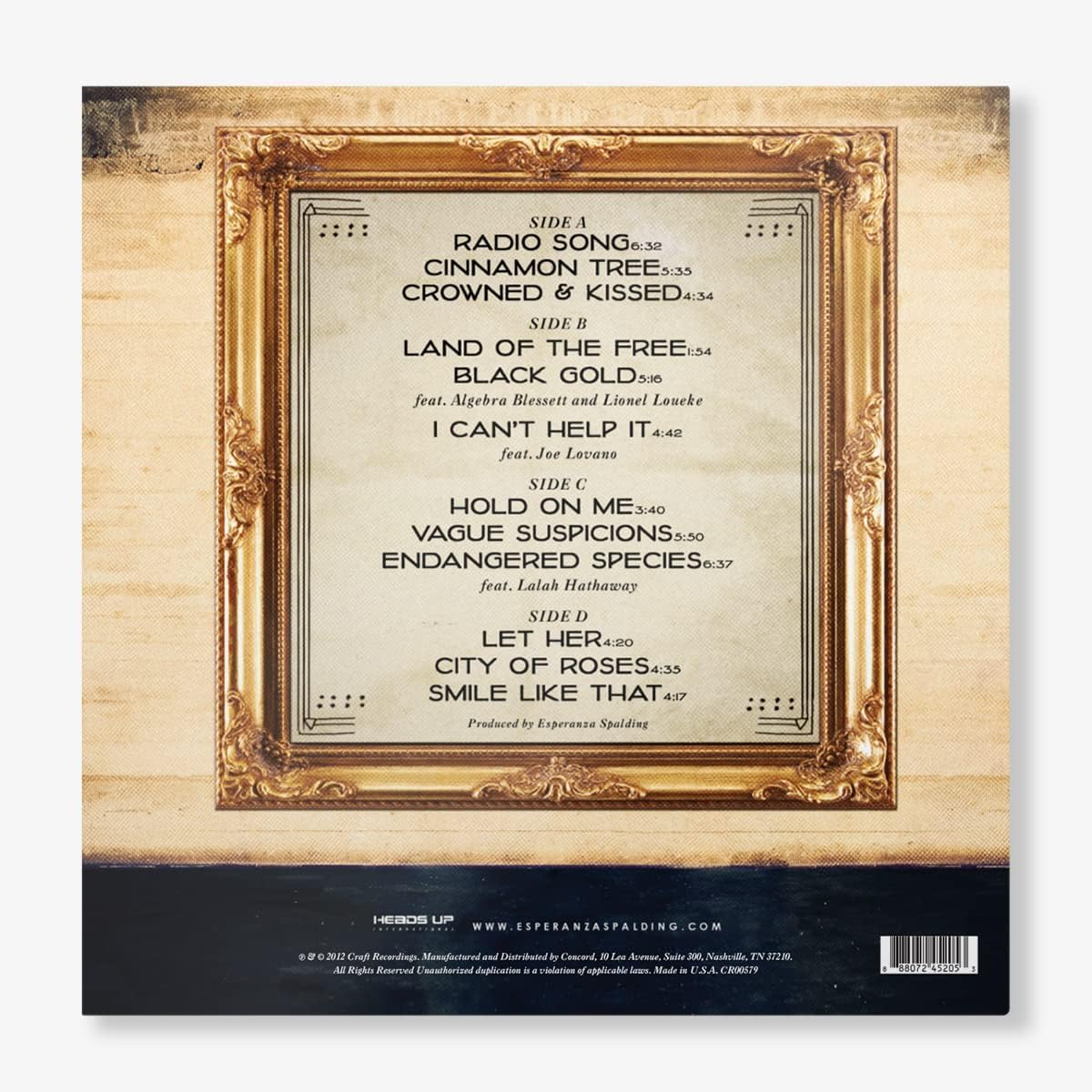 Radio Music Society (10Th Anniversary) image number 2