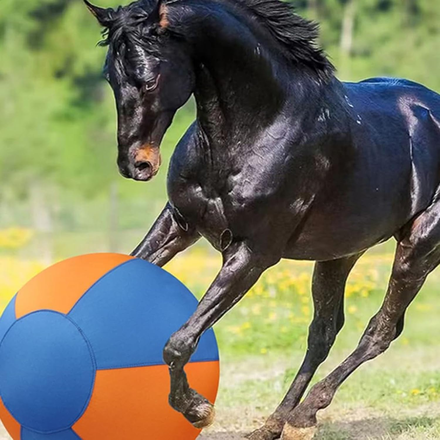 Herding Ball for Dogs, 45Cm Dog Herding Ball, Dog Agility Equipment, for Australian and German Shepherd Collie, Dog Toys for Christmas, Birthday Gifts image number 3