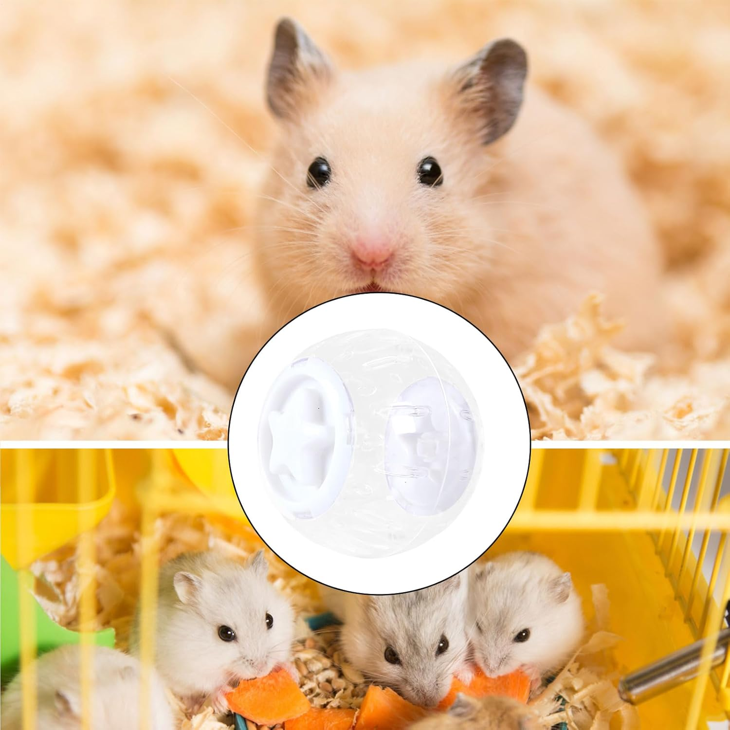 Clear Hamster Ball - Clear Hamster Running Ball Exercise Toy - Indoor Activity Small and Medium Pets Daily Fitness Entertainment for Animal Lovers - Blue image number 5