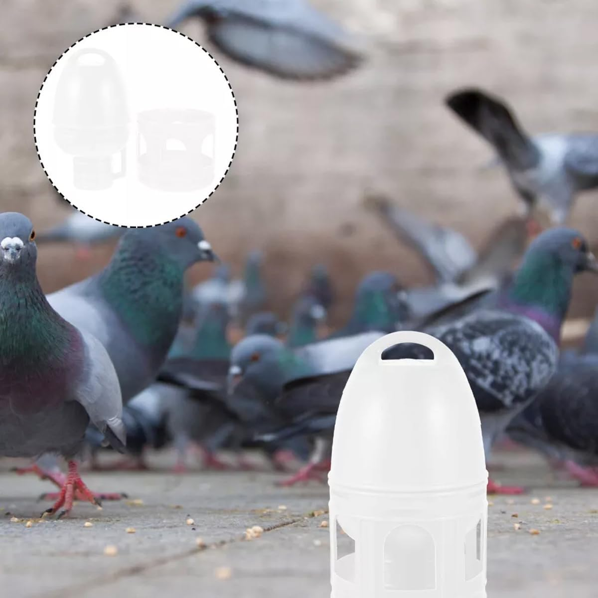 Jade Deals 3L Pigeon Drinker - 11.41&times;6.69In White Plastic Bird Water Dispenser, Automatic Hydration, Multiple Arched Ports, Portable Handle, for Pigeons/Small Birds image number 5