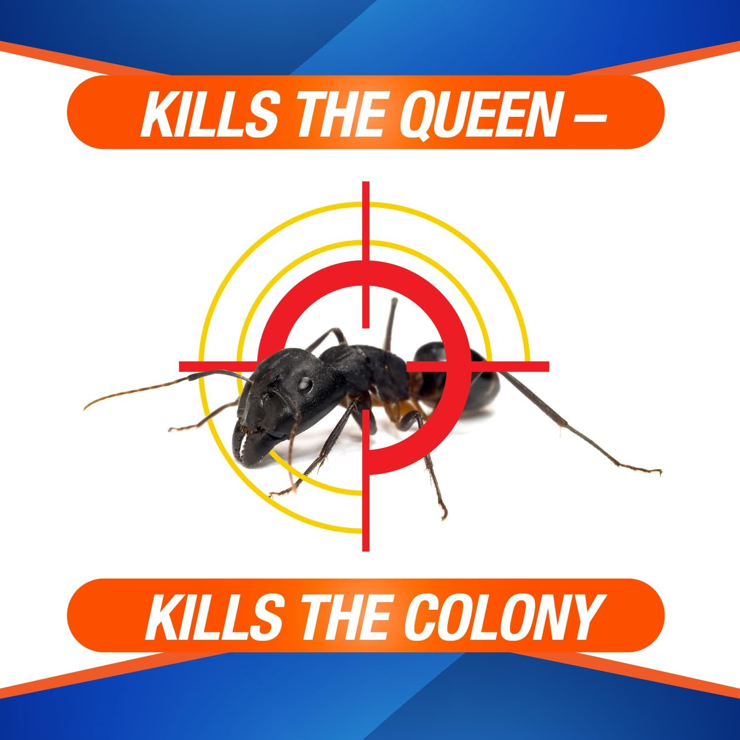 Home plus Ant Killer (4-Pack), Metal Ant Traps Indoor & Outdoor, Ant Bait Station, Effective Ant Control System, 4 Cans Ant Bait Traps, Ant Traps W/Food-Based Attractants, Pesticide-Free Ant Baits image number 1