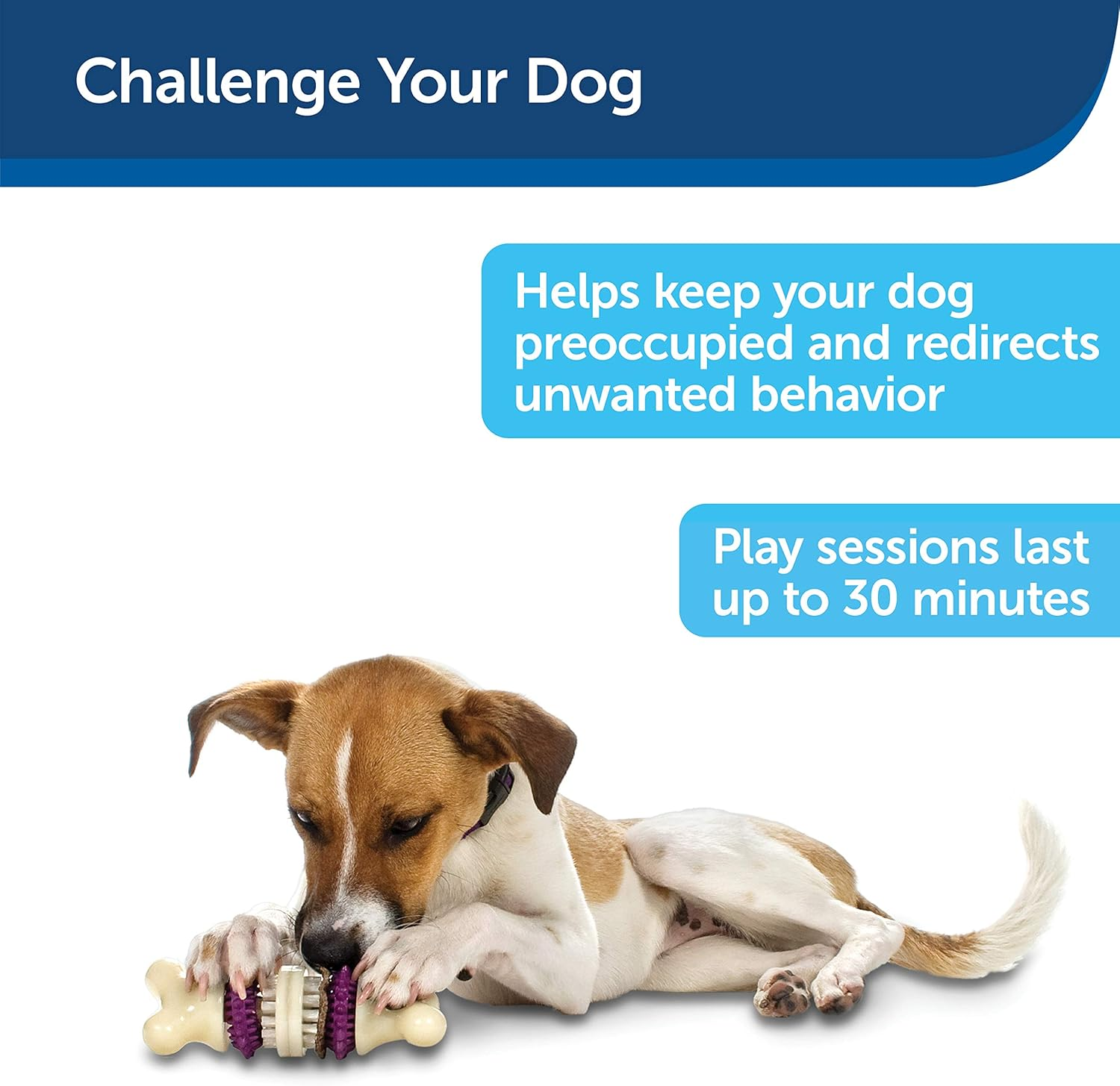 Petsafe Busy Buddy Bristle Bone Dog Toy, Chew Toy with Treats