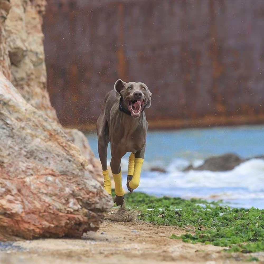 Pet Dog Elbow Protector Dog Elbow Sleeve, 2PCS Front Leg and 2PCS Back Leg Brace, Dog Elbow Wrap, Dog Leg Warmer Wrap Protector, Pet Elastic Knitted Breathable Protective Sock (Yellow, L) image number 4