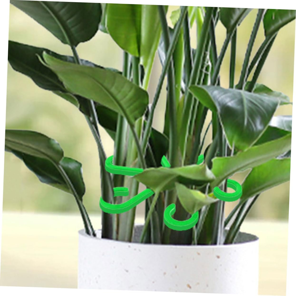 BESPORTBLE 16Pcs Flower Stems Fixed Holders for Bonsai and Plant Supports for Flowerpot Stems Holder Plant image number 1