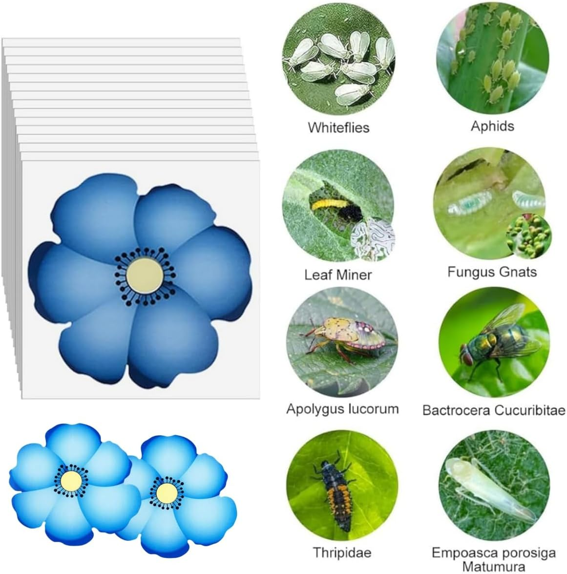 20 PCS Window Fly Paper for Indoors Sticky,Window Flowers Decoration Design Sticky Fly Trap Fly Tape,Floral Pattern Design Sticky Fly Catcher for Indoor Houseflies Houseflies Kitchen and Dinning image number 5