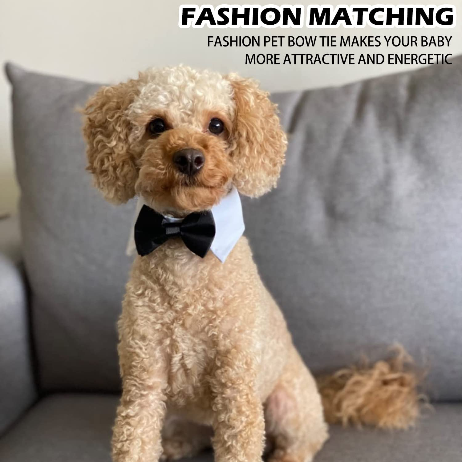 BOROLA Bow Tie Pets Dog Cat Adjustable Formal Collar Neck Tie Tuxedo (Black-S)