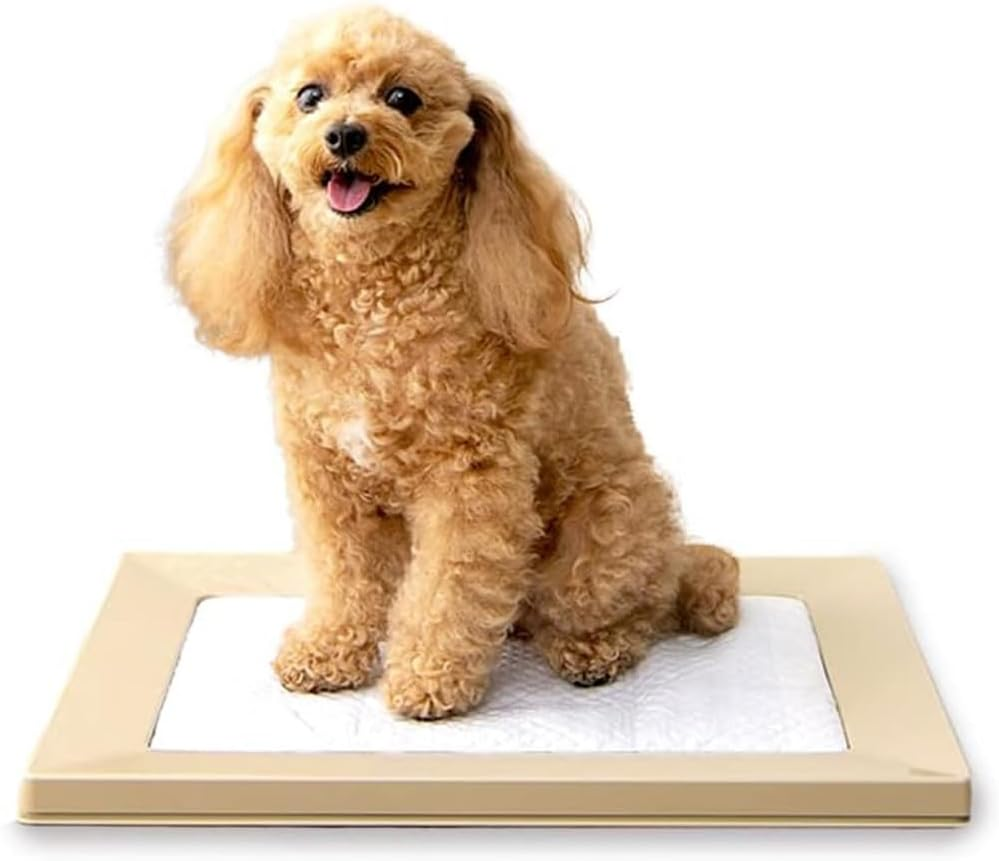 Iris Ohyama Dog Toilet, Square Dog Tray, Just Pinch Magnet, Regular, Light Gray, Washable