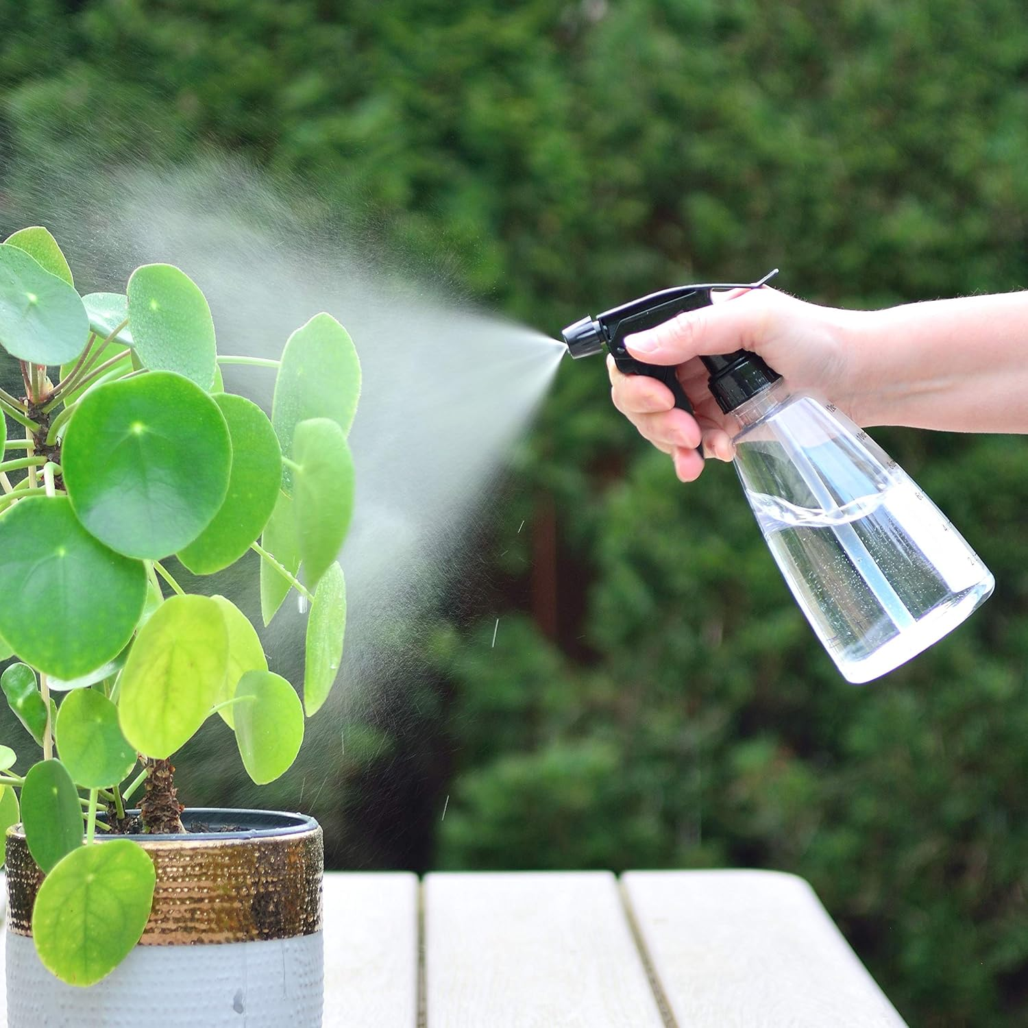 Youngever 6 Pack Clear Empty Plastic Spray Bottles, Spray Bottles for Hair and Cleaning Solutions (8 Ounce)