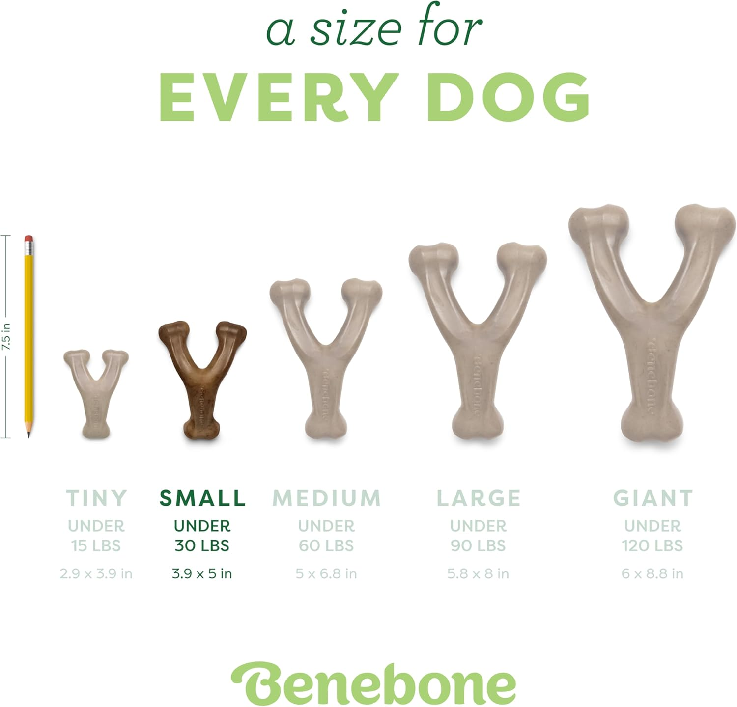 Benebone Wishbone Durable Dog Chew Toy for Aggressive Chewers, Made in USA, Small, Real Bacon Flavor image number 5
