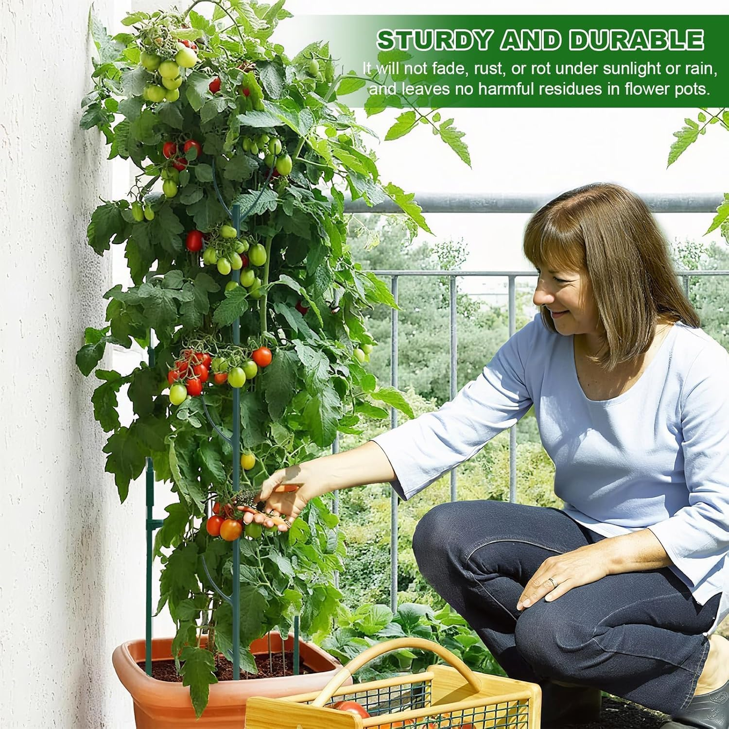 Plant Stem Support-5Pack Adjustable Plant Support Pole, Stackable Plant Support Stakes for Indoor/Outdoor, Green, Plastic, Climbing Plant Support Structure, Rectangular, 11 Inches, Rustic image number 2