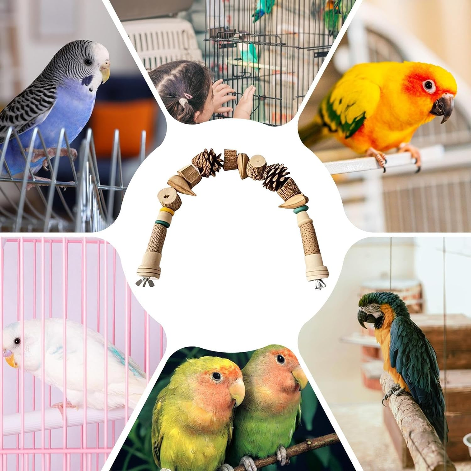 Bird Toys for Parrots, Bird Cage Toys Chewing Games, Wooden Pine Cone String, Natural Landscape Decor for Conure, Cockatiel, Macaws, Finches, Cockatoos - A image number 4