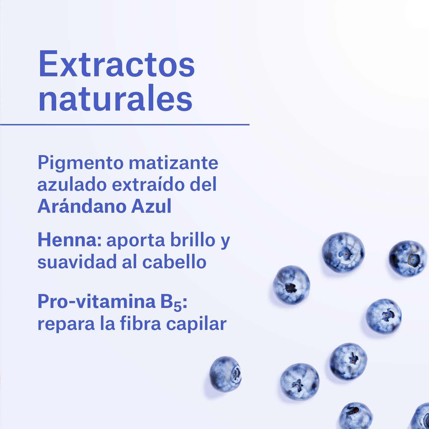 Naturvital Silver Shampoo with Blueberry Extract for Blonde, Silver, White or Grey Hair -300Ml image number 1