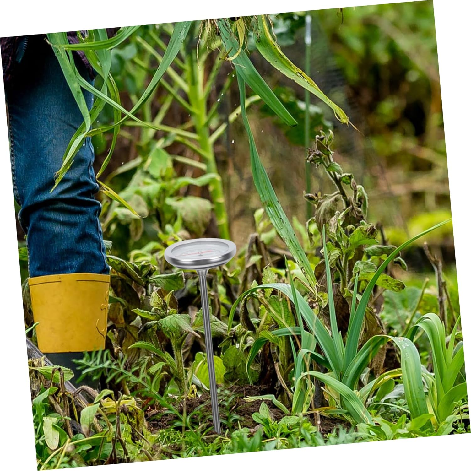 STAHAD Stainless Steel Soil Compost Thermometer Probe with Scale Gardening Temperature Detector for Fertilizer and Soil Monitoring C to Lightweight and Portable Tool image number 1