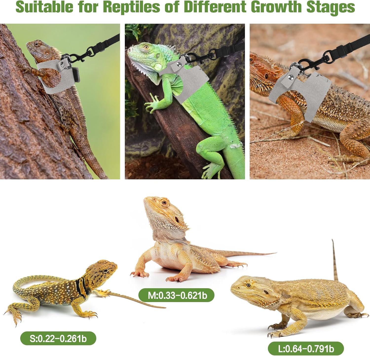 Fnaobai Bearded Dragon Harness Leash Set 3 Size Adjustable Lizards Training Walking Leather Vest Escape-Proof Traction Rope for Outdoor Small Reptiles Animal Squirrels (Grey) - Blue image number 5