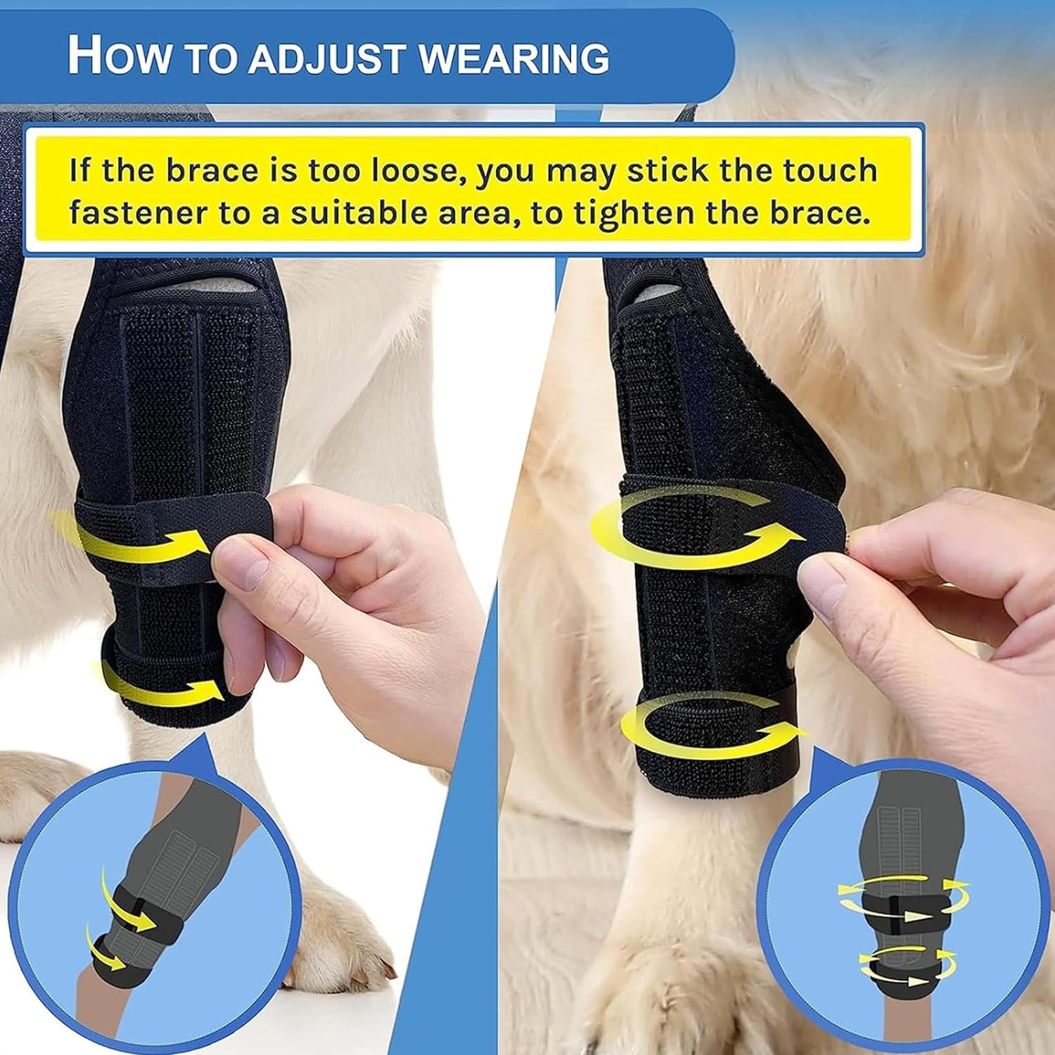 Visuivit Dog Knee Brace for Support with Cruciate Ligament Injury, Arthritis and Knee Cap Dislocation, Better Recovery ACL Brace, Adjustable Rear Leg Braces Dogs, Pet Brace (M, Normal Style) image number 2