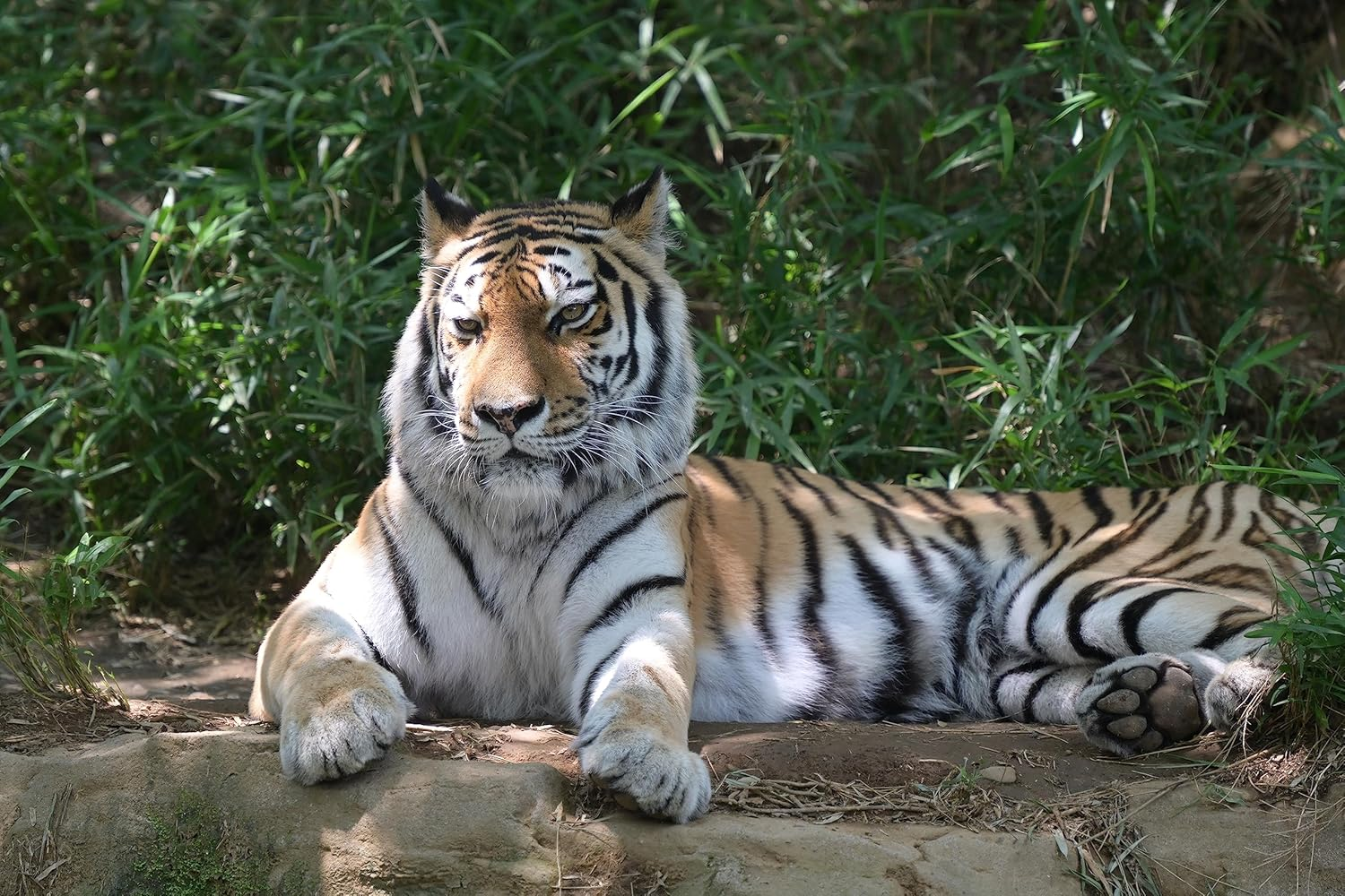 Nikon Z Teleconverter Tc-2.0X [AU Version] image number 2