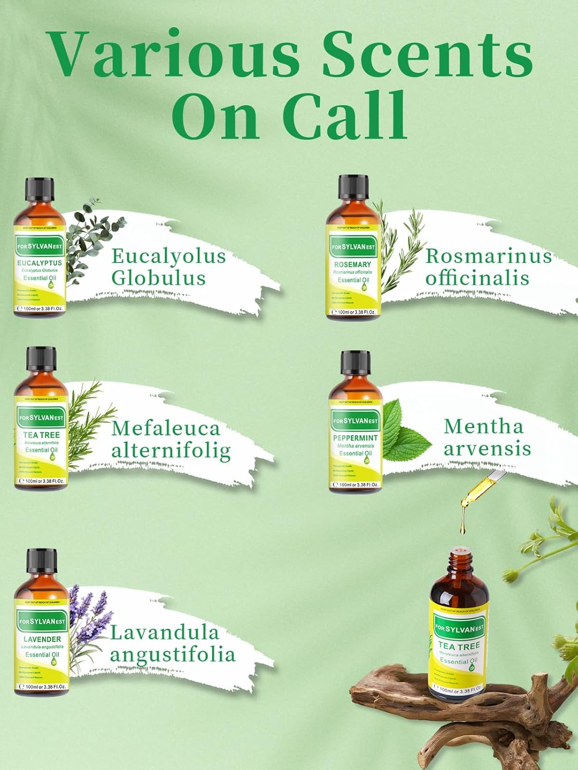 FORSYLVANEST Tea Tree Essential Oil 3.38FL Oz/100Ml, Therapeutic-Grade Aromatherapy Tea Tree Oil in Glass Bottle, 100% Pure and Natural for Diffusers Skin, Hair, Toenail Fungus image number 3