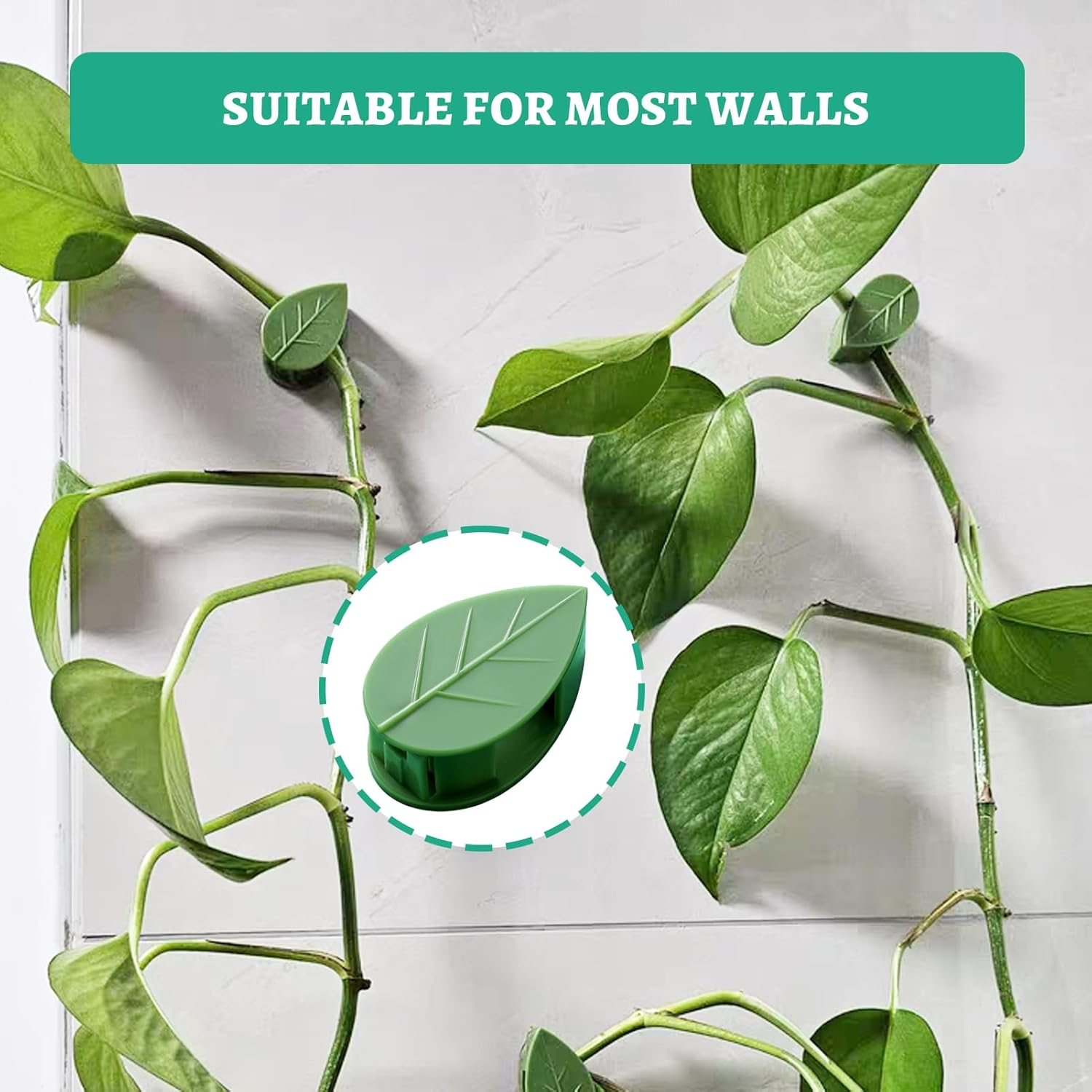 Plant Clips for Climbing Plants, 80 Pcs Plant Support Clips, Invisible Vines Plant Clip for Indoor Outdoor Green Leaf Simulation, Wall Planter Clips for Vines Grow Upright and Home Decoration image number 2