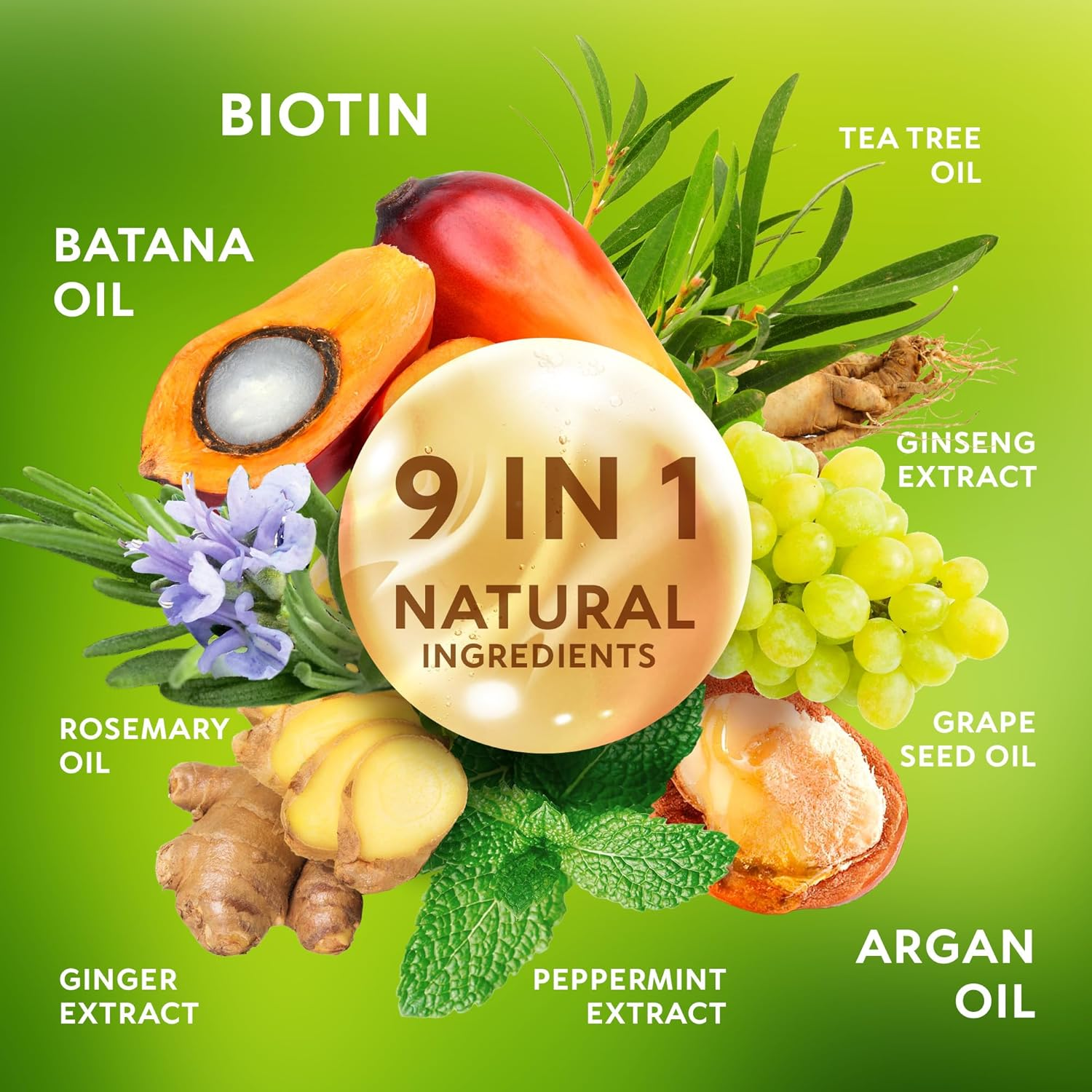 Batana Oil Shampoo for Hair Growth - Routine Shampoo for Thinning Hair for Women & Men - 9-In-1 Natural Hair Loss Shampoo with Biotin, Rosemary Oil - Thickening Hair Treatment & Regrowth image number 5