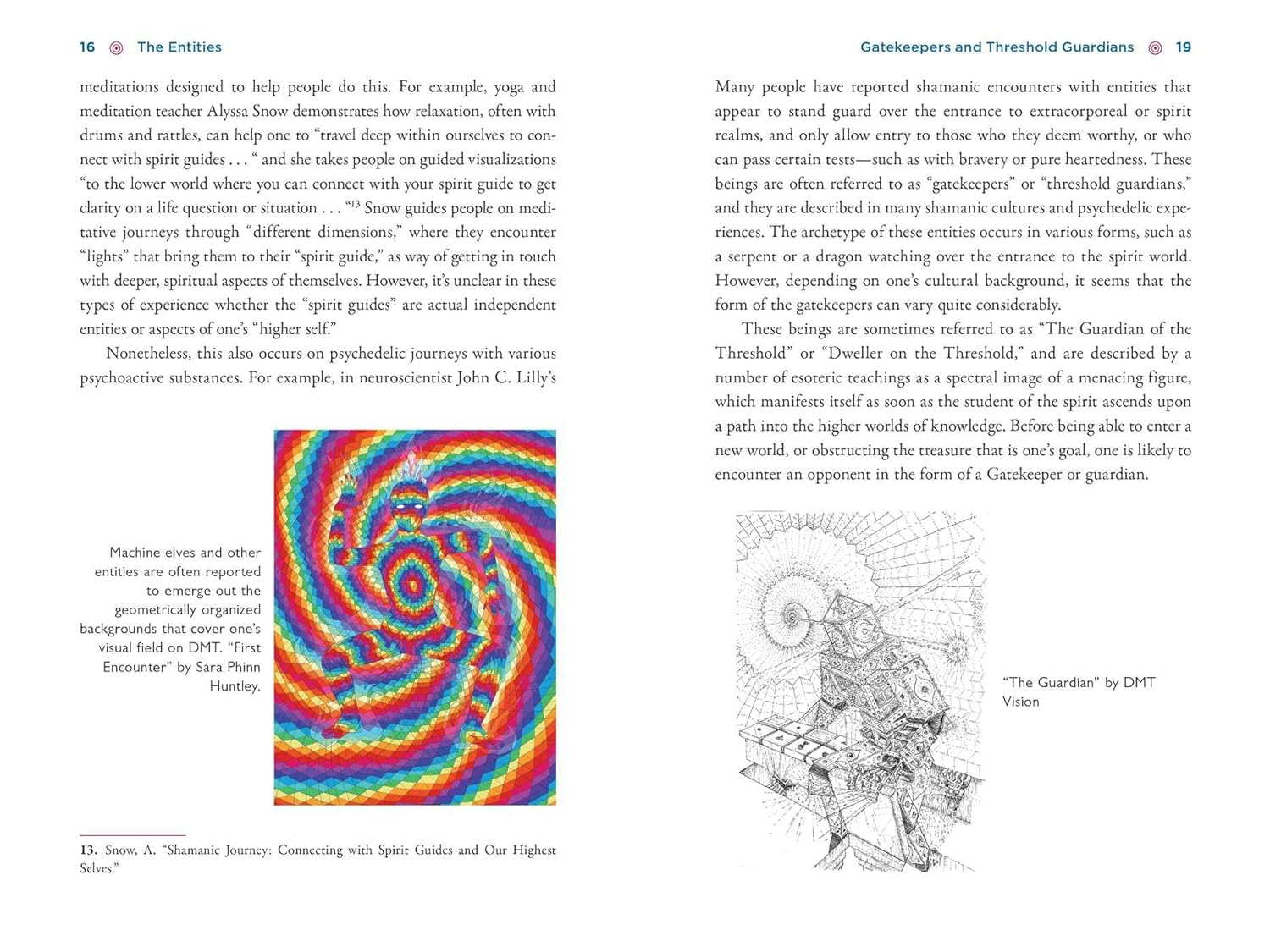 The Illustrated Field Guide to DMT Entities: Machine Elves, Tricksters, Teachers, and Other Interdimensional Beings image number 6