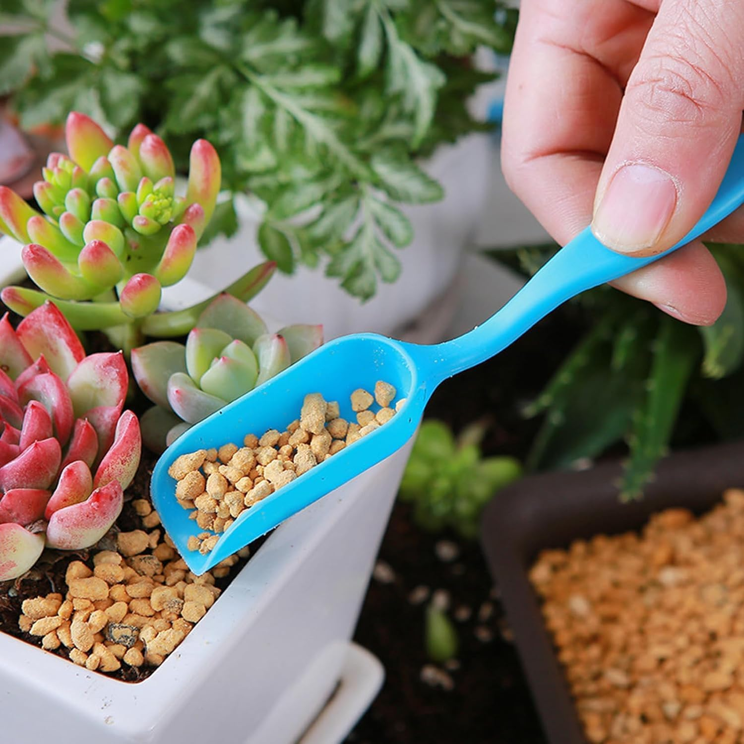 Garden Succulent Soil Scoop Set, 4Pcs Plastic Transplanting Shovel Scoop for Plant Care,Plastic Mini Garden Plant Care Shovel Hand Tools,Transplanting Succulent Cultivation Digging Scoops image number 3