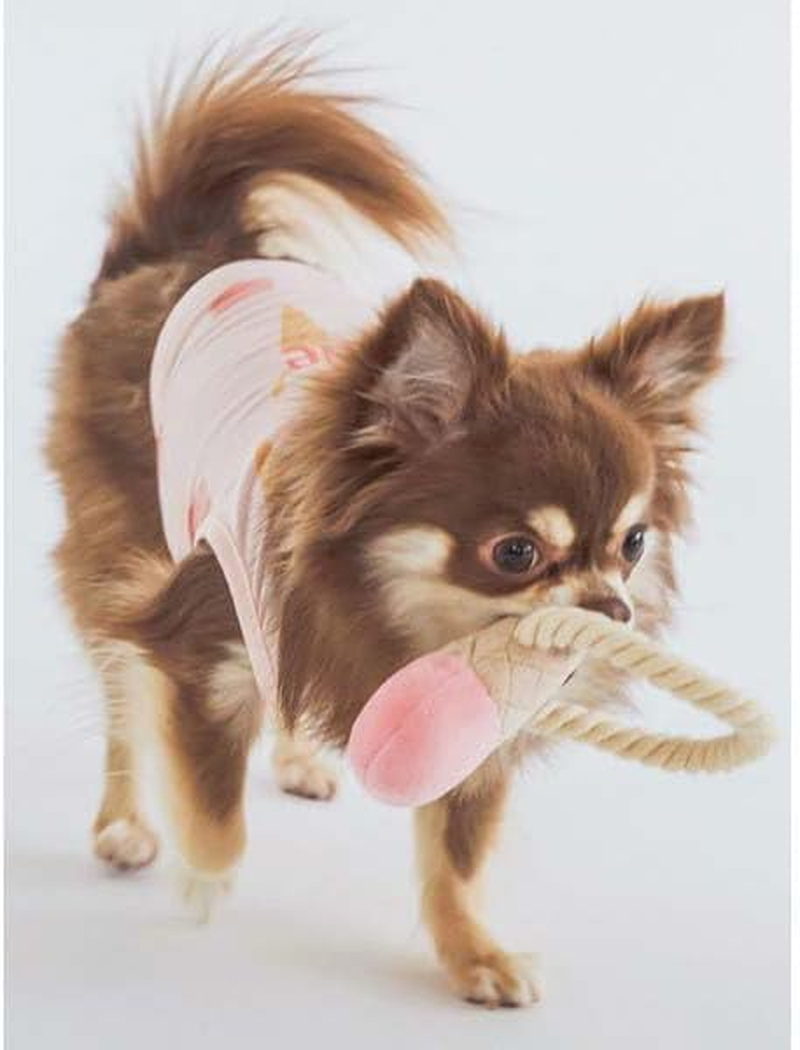 Gelato Pique Cat & Dog PAGG242579 PNK F Ice Mochie Toy, Pink, F image number 2