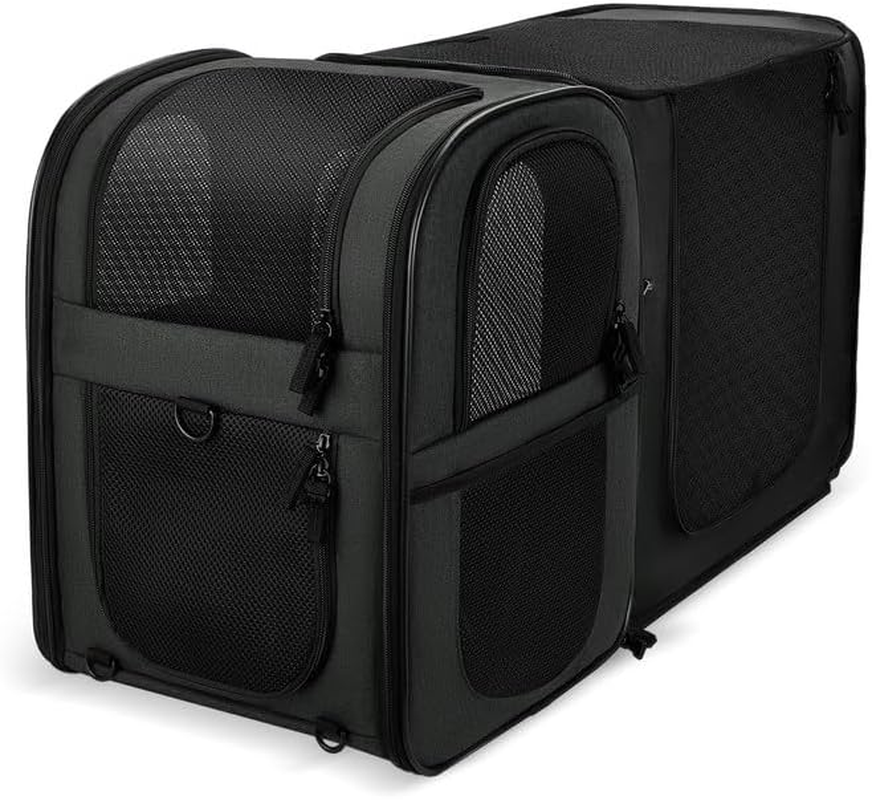 Apollo Walker Pet Carrier Backpack for Large/Small Cats and Dogs, Puppies, Safety Features and Cushion Back Support for Travel, Hiking, Outdoor Use (Black)