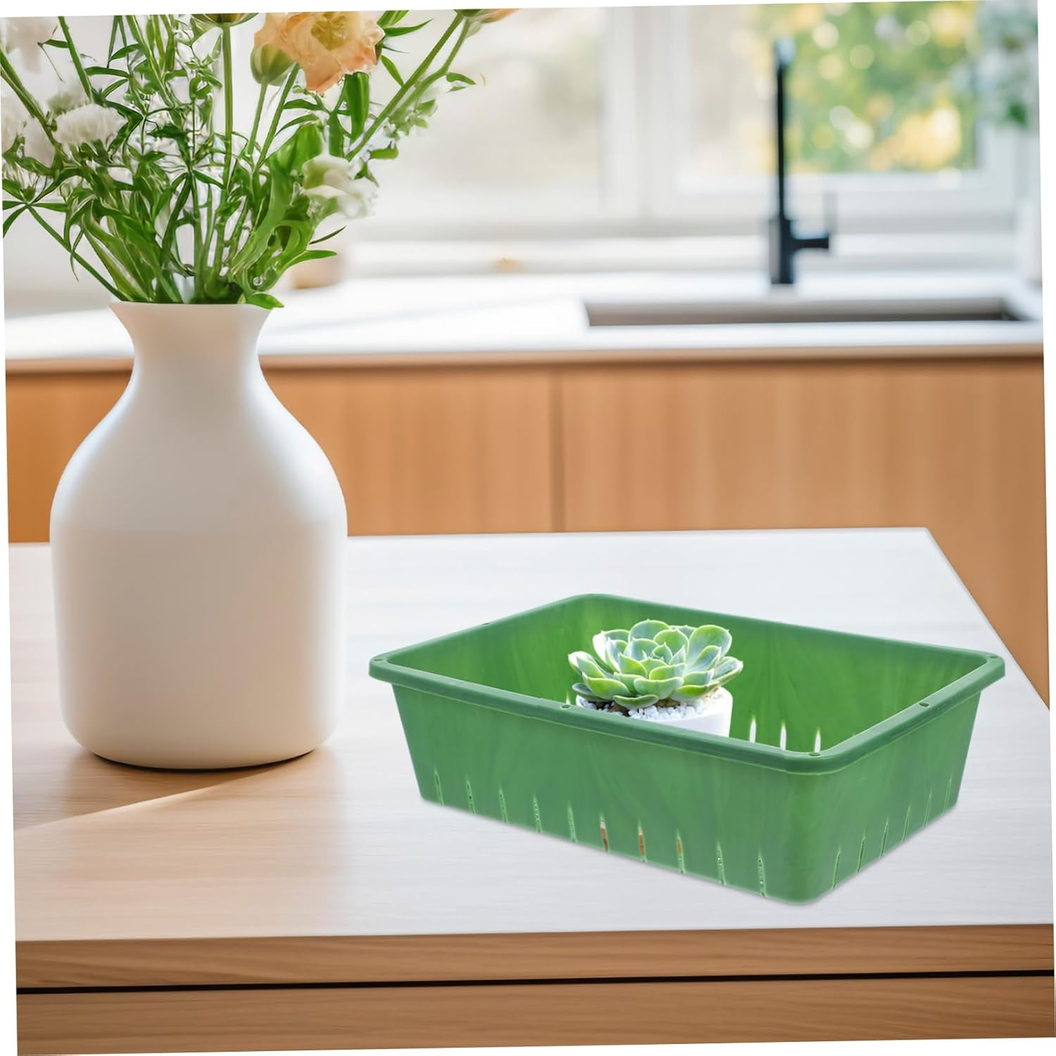 Milisten Propagation Tray Seedling Starter Tray for Gardening 2Pcs 26X18X7Cm in Green Suitable for Sprouts Indoor Plant Growing image number 4